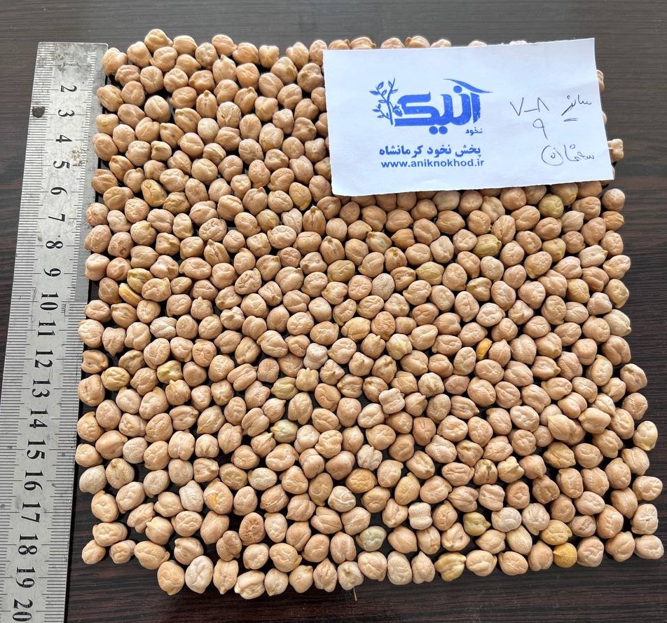 نخود سه خان ممتاز آنیک