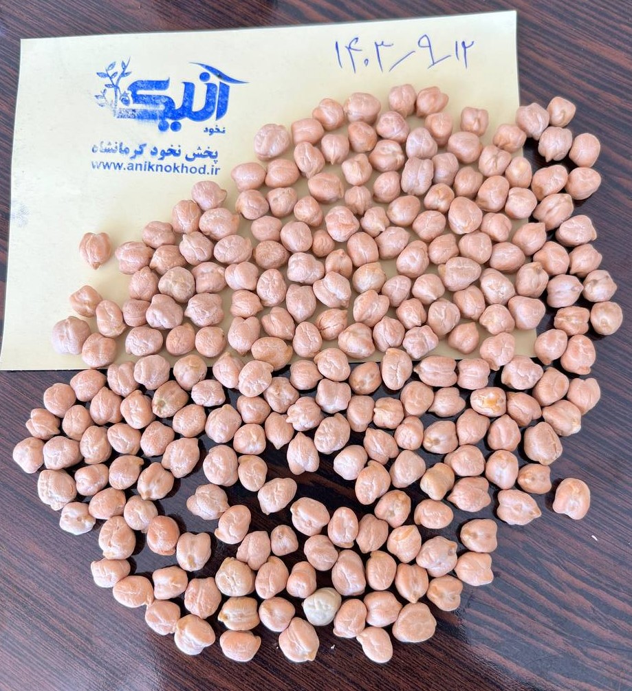 نخود دوخان آنیک