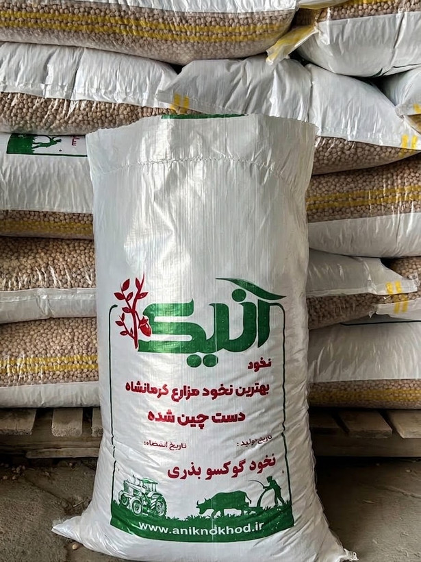 نخود گوکسو بذری ( ترکیه)